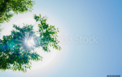 私がアイバに入社した理由